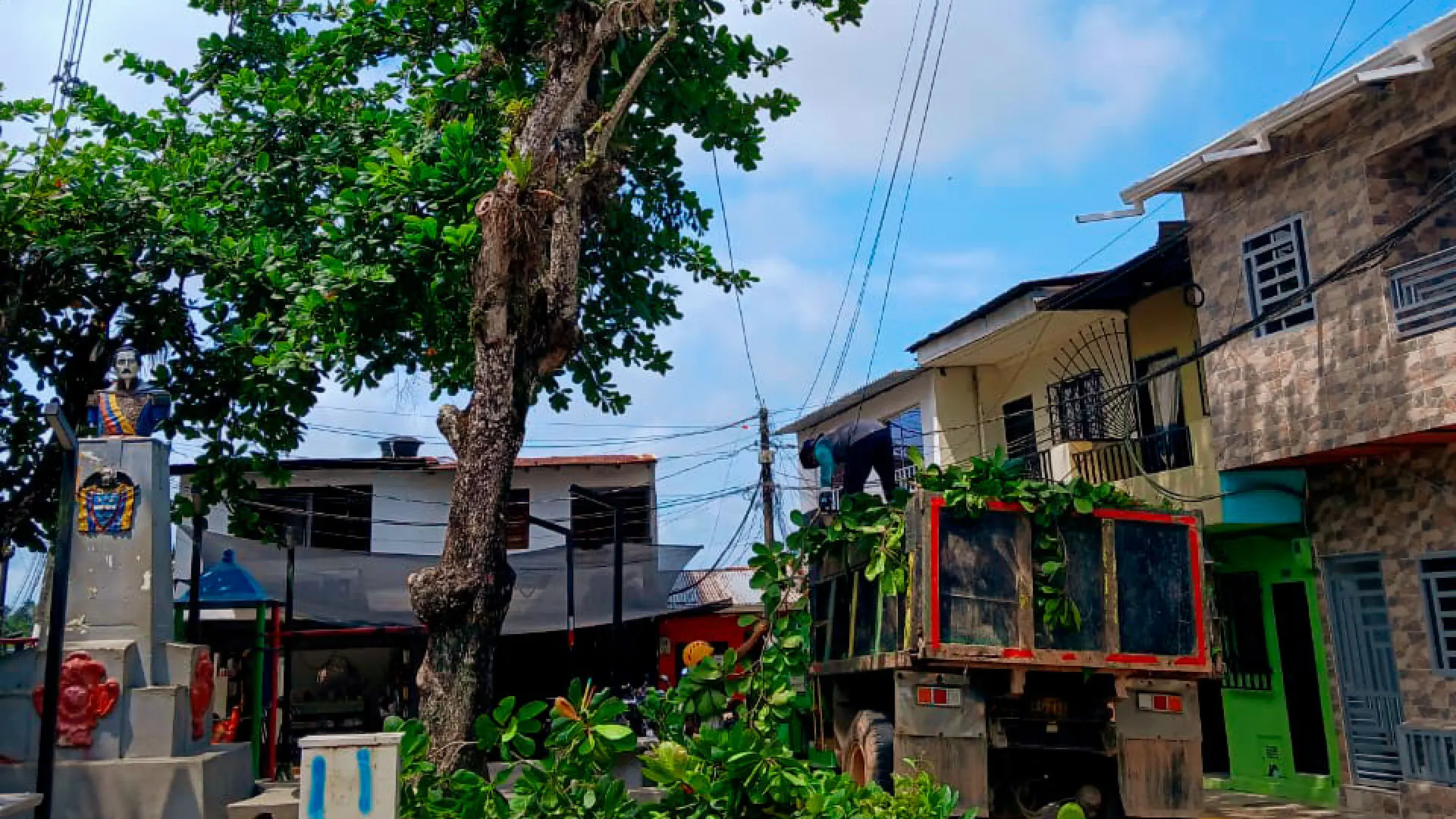 Poda-de-árboles (1)